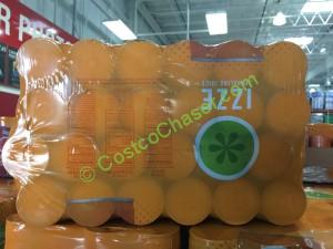 costco-569564-izze-sparkling-juice-back