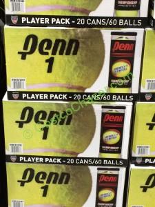 costco-672381-penn-xtra-duty-20pk-tennis-balls-all