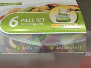 Costco-1061164- Rubberaid-6PC-Easy-Find-Lid-Set-item