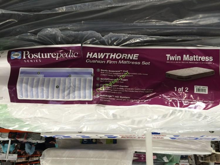 sealy hawthorne twin mattress costco