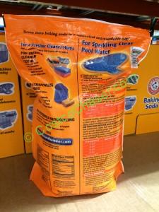 Costco-426292-Arm-Hammer-Baking-Soda-inf