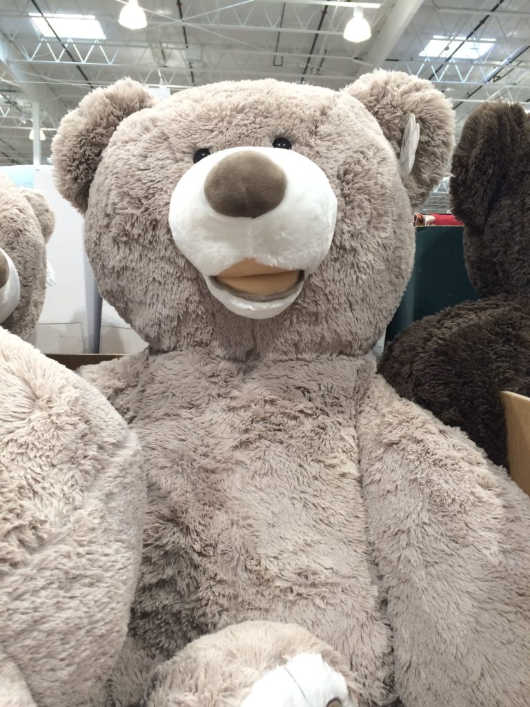 costco hugfun