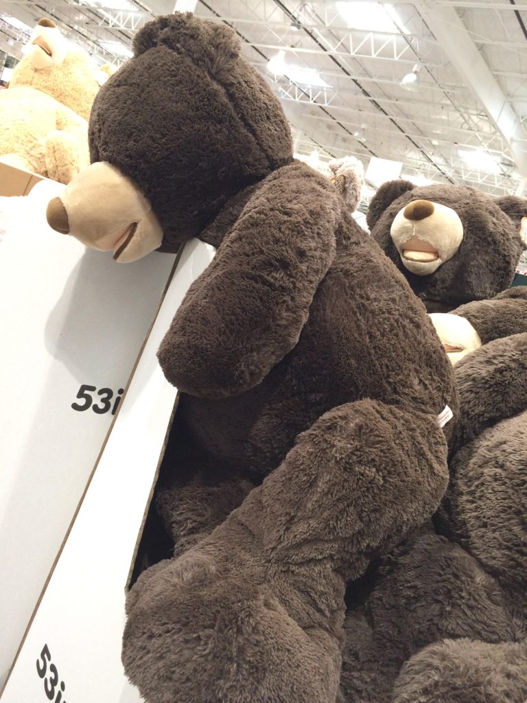 53 costco bear