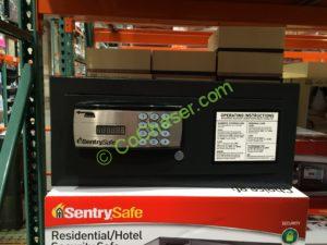 costco sentry safe