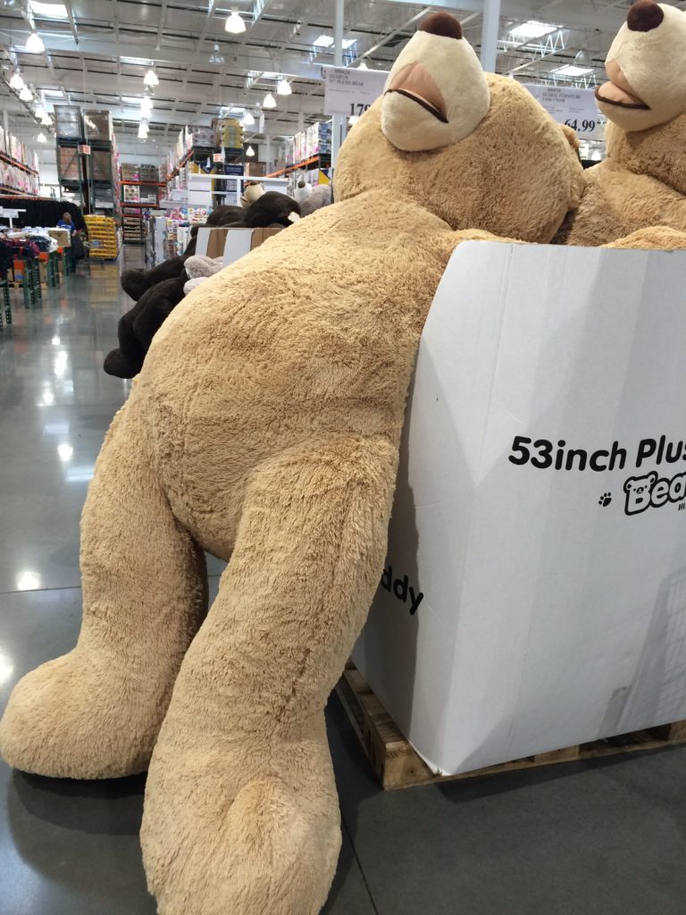 massive costco bear