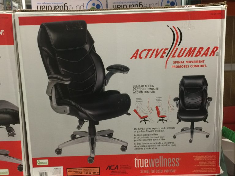 True Innovations Active Lumbar Chair – CostcoChaser