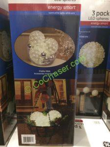 Costco-737922-GE-Energy-Smart-5.5-Super-Bright-LED-Spheres-back