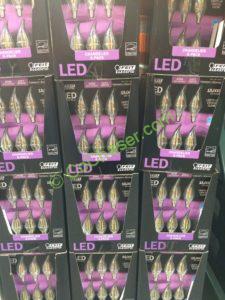 Costco-1088520-Feit-Electric-LED-Chandelier-Bulbs-all