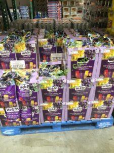 Costco-1047961-Welchs-100-Grape-Juice-Ice-Bars-all