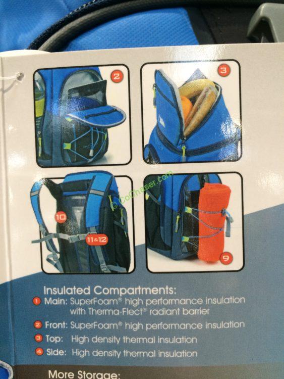 backpack cooler costco