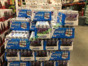 Costco-1144051-Propel-Zero-Water-Variety-all