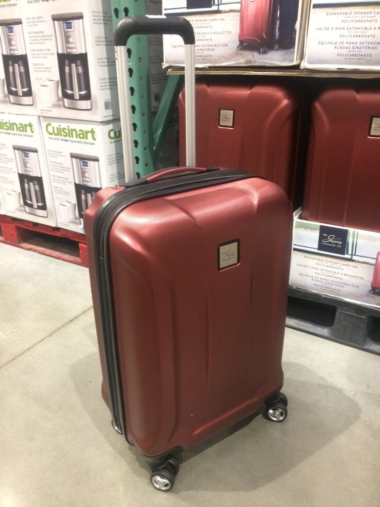 the skyway luggage carry on