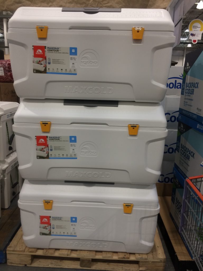 maxcold igloo cooler costco