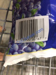 Costco-360386-Wymans-Wild-Blueberries-bar