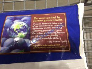 Costco-360386-Wymans-Wild-Blueberries-inf1