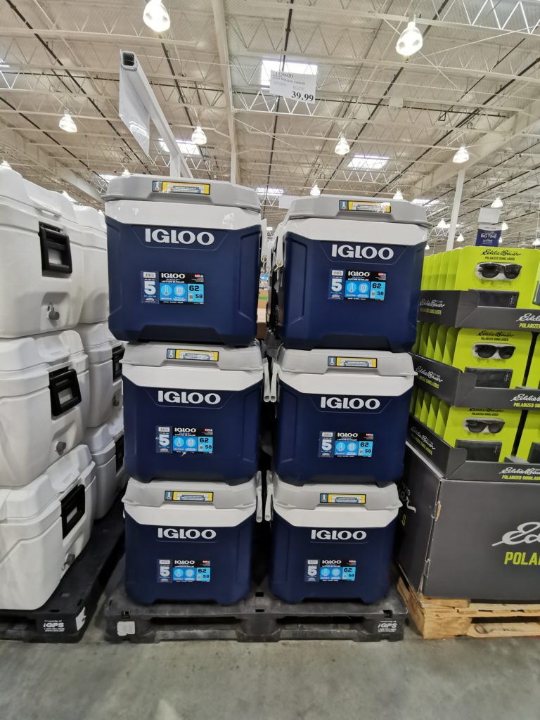 maxcold igloo cooler costco