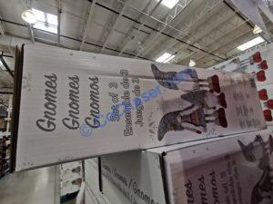 Costco-1487665-Holiday-Gnomes-Set2