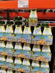 Costco-1495950-LIMMI-Organic-Lemon-Juice-all