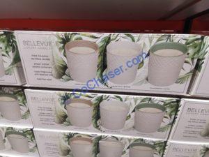 Costco-1675792-Bellevue-RITZ-Ceramic-Candles