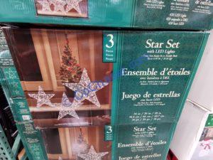 Costco-1601255-Stars-with-LED-Lights-Set1