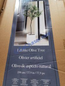 Costco-1441716-CG-Hunter-Faux-6.5-Olive-Tree2