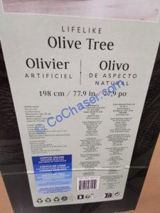 Costco-1441716-CG-Hunter-Faux-6.5-Olive-Tree3