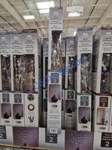 Costco-1630873-Evergreen-32-LED-Décor-Branches