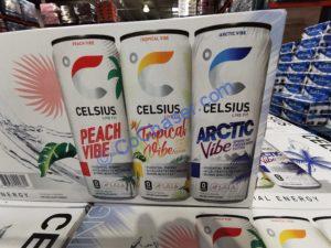 Costco-1692336-Celsius-Sparkling-Vibe-Variety-Pack1