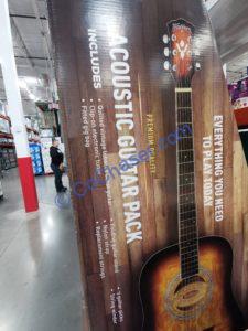 Costco-1748925-Washburn-Acoustic-Guitar2