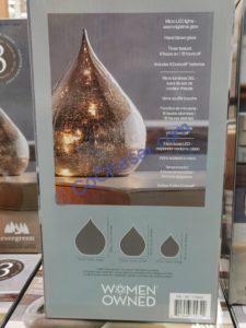 Costco-1759342-Evergreen-LED-Glass-Raindrop3