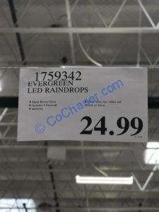 Costco-1759342-Evergreen-LED-Glass-Raindrops-tag